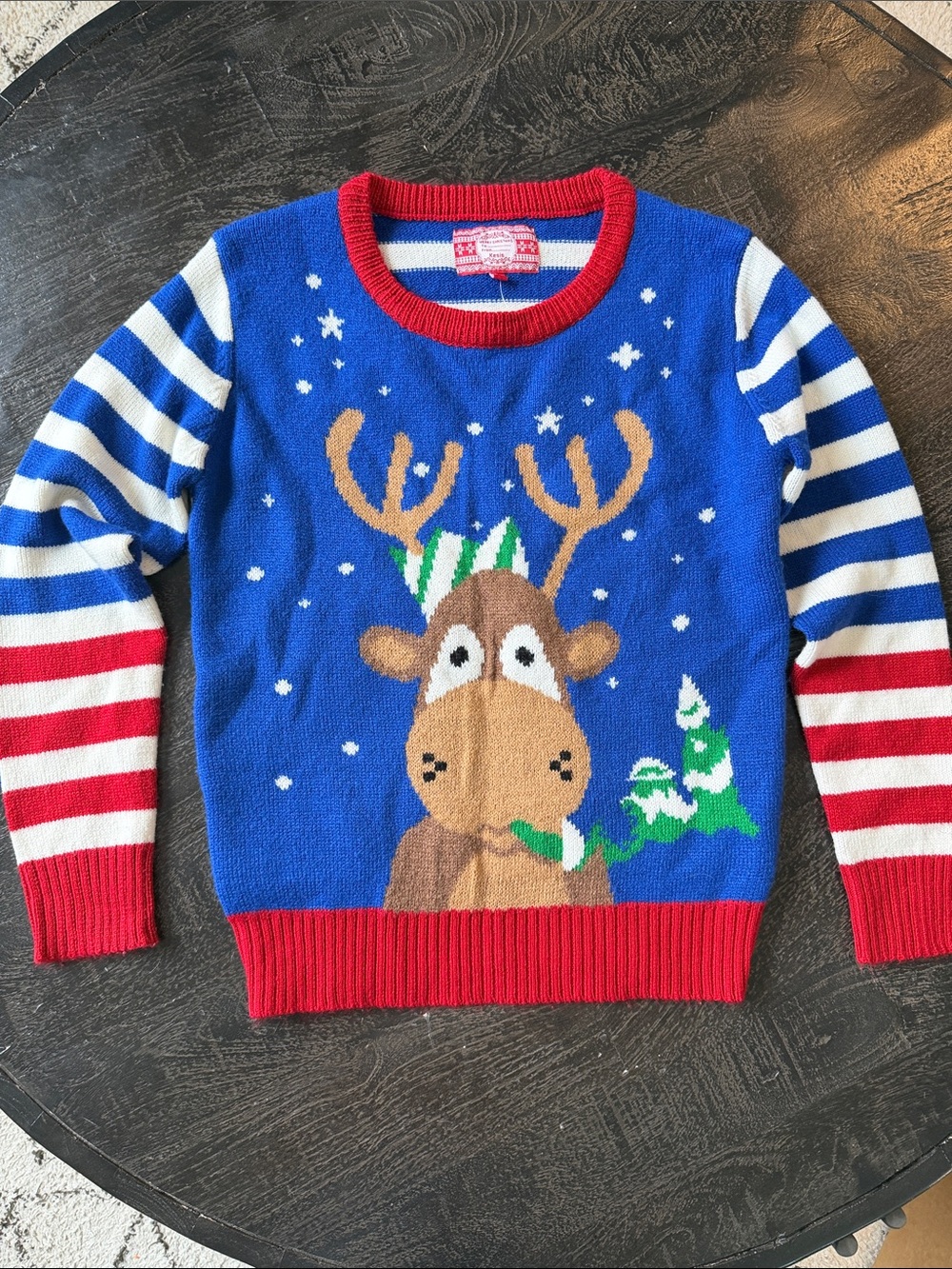 Blue Christmas Reindeer Sweater with Red Trim